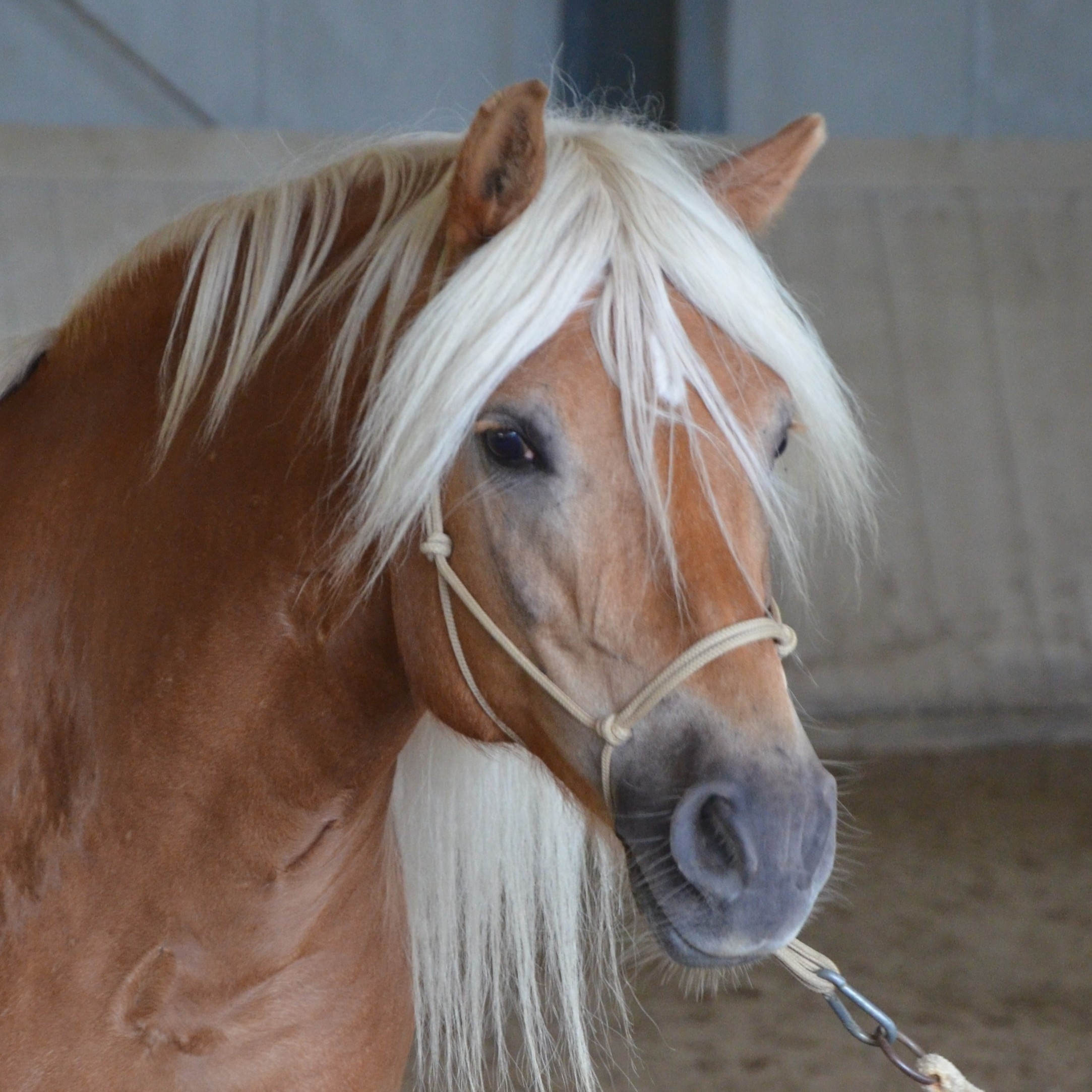 Seraphina Knoti 25.07.9